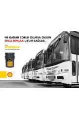 Rimula R6 Lm 10w40 Kova 20 Litre-(E7/mb 228.51)